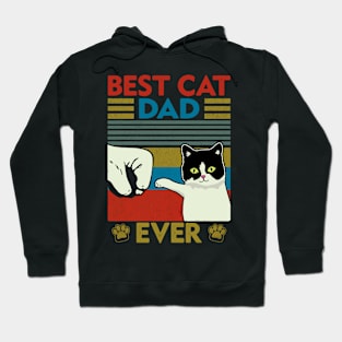 Best cat dad ever Hoodie